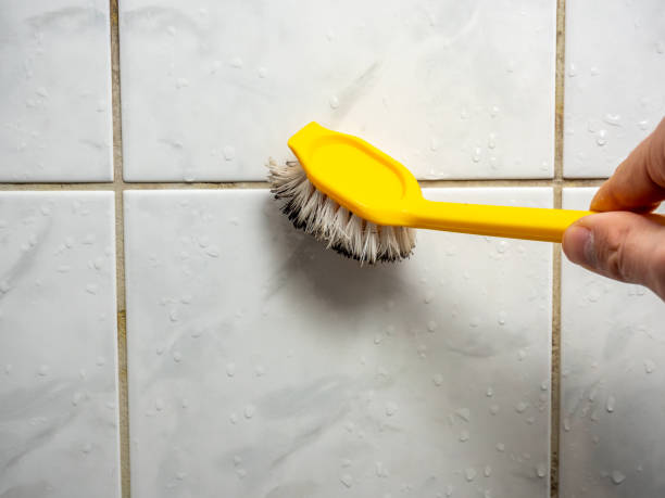 Best Fast Mold Removal  in Edgewood, TX