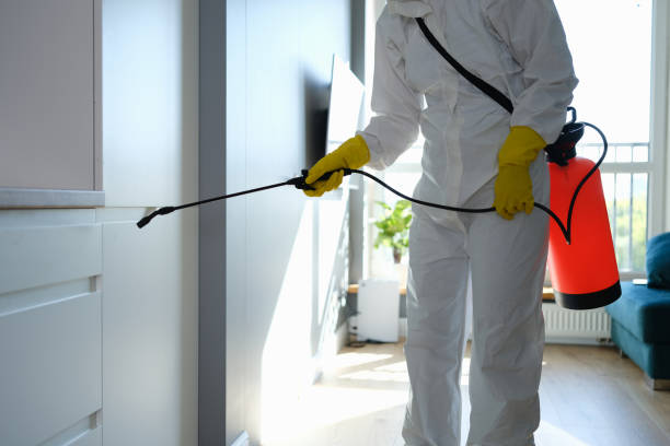 Edgewood, TX Mold Removal Company
