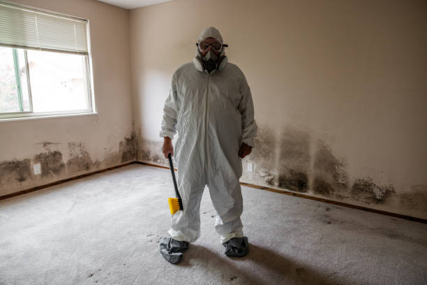 Best Toxic Mold Removal  in Edgewood, TX